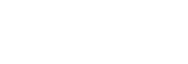 Danske Advokater Logo